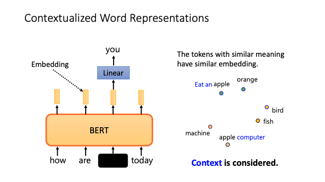 Pre-trained Language Model 學得到的是 Contextualized Word Representation