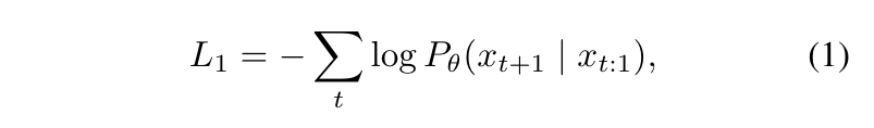 Next-Token Prediction Task 的 Loss Function